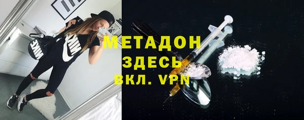 индика Алзамай