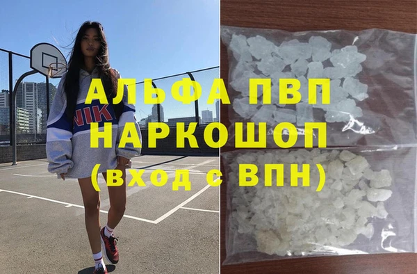 индика Алзамай
