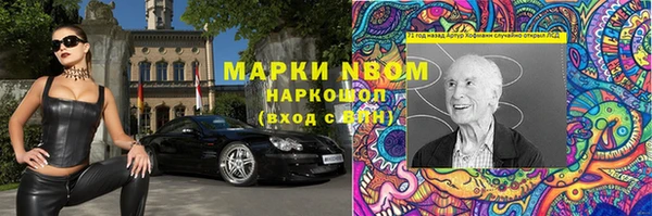 прущие грибы Алексин
